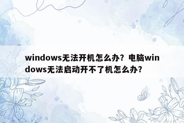 windows无法开机怎么办？电脑windows无法启动开不了机怎么办？