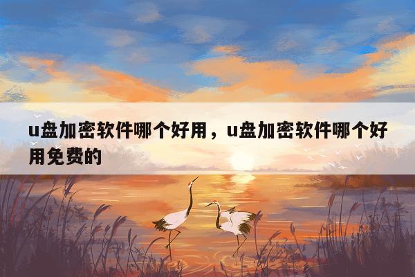 u盘加密软件哪个好用，u盘加密软件哪个好用免费的