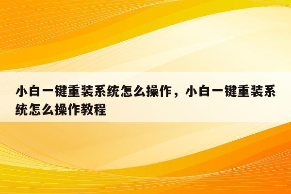 小白一键重装系统怎么操作，小白一键重装系统怎么操作教程
