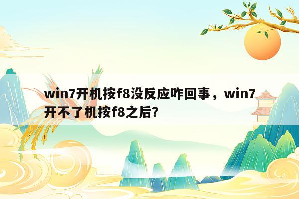 win7开机按f8没反应咋回事，win7开不了机按f8之后？