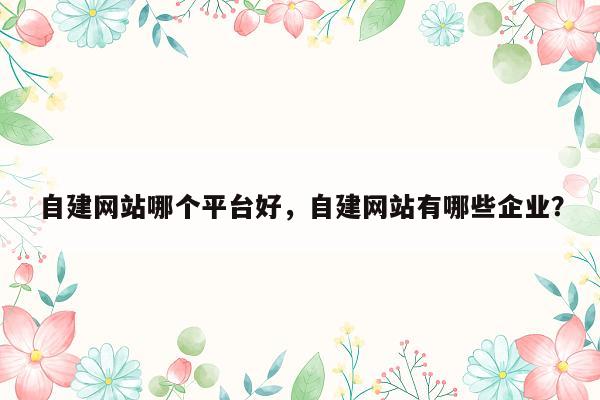 自建网站哪个平台好，自建网站有哪些企业？