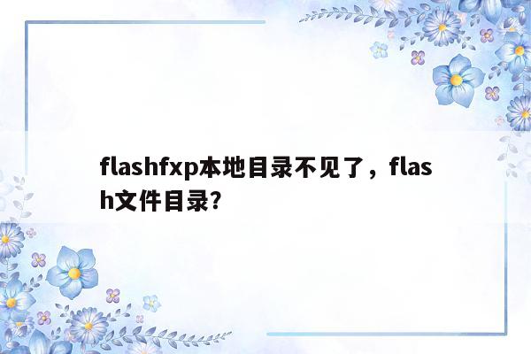 flashfxp本地目录不见了，flash文件目录？