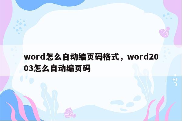 word怎么自动编页码格式，word2003怎么自动编页码