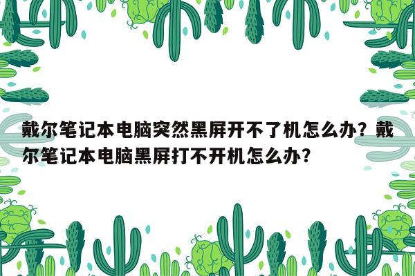 戴尔笔记本电脑突然黑屏开不了机怎么办？戴尔笔记本电脑黑屏打不开机怎么办？