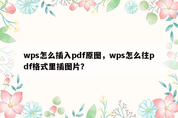 wps怎么插入pdf原图，wps怎么往pdf格式里插图片？