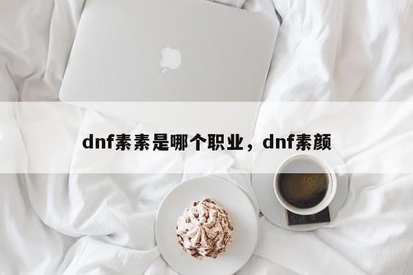 dnf素素是哪个职业，dnf素颜