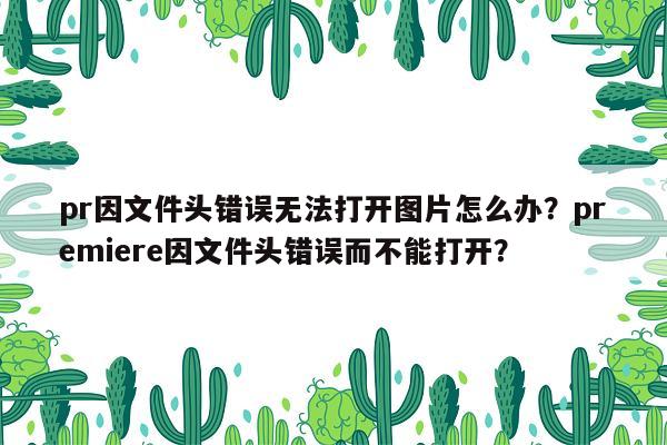 pr因文件头错误无法打开图片怎么办？premiere因文件头错误而不能打开？