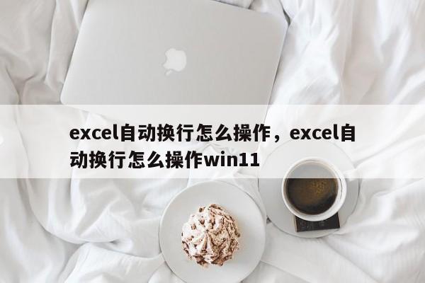 excel自动换行怎么操作，excel自动换行怎么操作win11