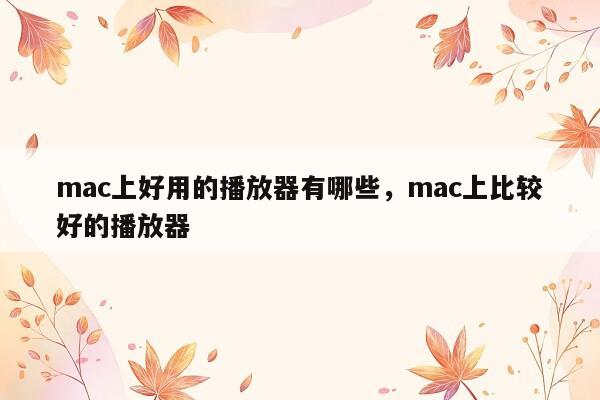 mac上好用的播放器有哪些，mac上比较好的播放器