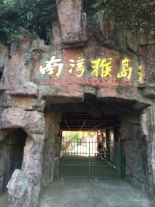 海南南湾猴岛好玩吗，海南南湾猴岛好玩吗现在