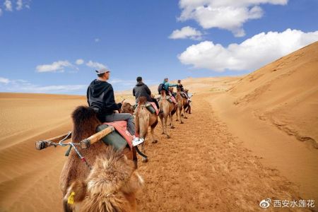 沙坡头景区门票费用？沙坡头景区门票费用表？