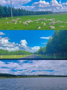 塞罕坝国家森林公园，塞罕坝国家森林公园简介