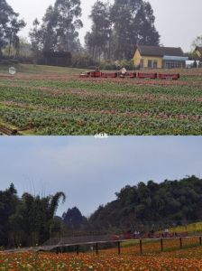 蒲江石象湖门票多少？蒲江石象湖旅游攻略？