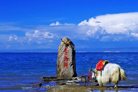 青海湖十一旅游攻略，十一去青海湖会不会挤死？