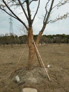 巴城水上公园游乐场，巴城水上公园有什么好玩的