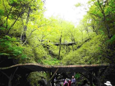 五常凤凰山风景区？五常凤凰山风景区开放了吗？