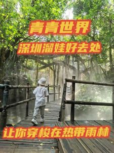 深圳青青世界酒店，深圳青青世界酒店地址？