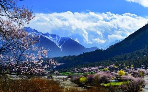 林芝旅游攻略自由行？林芝旅游景点门票费用？