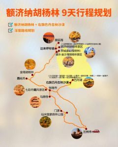 额济纳旗住宿攻略，额济纳旗住宿攻略订8号的房