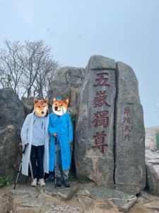 泰山一日游多少钱？泰山一日游多少钱合适？
