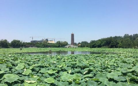 潜江旅游景点有哪些，潜江旅游景点大全景点排名榜