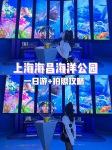 上海海洋公园攻略，上海海洋公园攻略一日游？