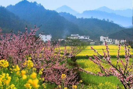 婺源旅游最佳时间？婺源旅游攻略7月份？