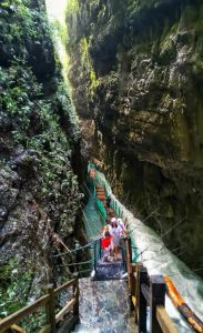重庆黑山谷门票费用？重庆黑山谷旅游攻略？