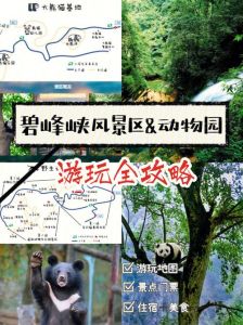 雅安碧峰峡旅游攻略？雅安碧峰峡风景区旅游攻略？