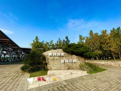 奥林匹克森林公园，奥林匹克森林公园面积？