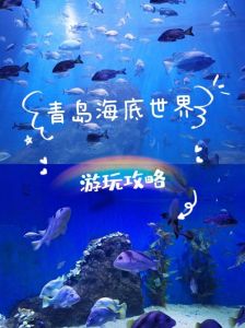 秦皇岛圣蓝海洋公园，秦皇岛圣蓝海洋公园游玩攻略