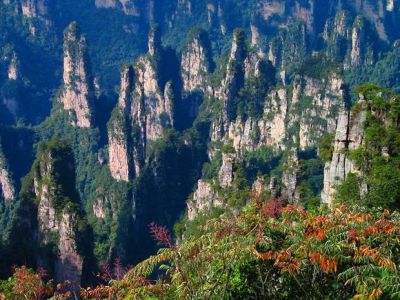 张家界青年旅行社？张家界青年旅行社有限公司电话？