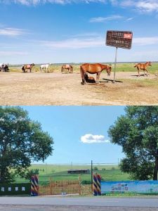 张北坝上草原自驾游，张北坝上草原自驾游旅游攻略