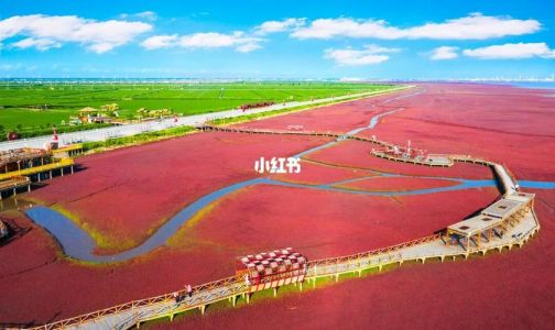 辽宁盘锦红海滩介绍，盘锦红海滩是什么海?