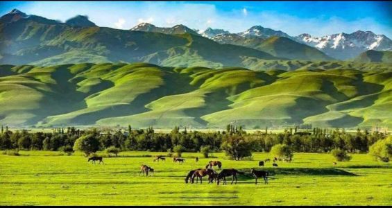 新疆旅游最佳时间，新疆旅游最佳时间几月份？