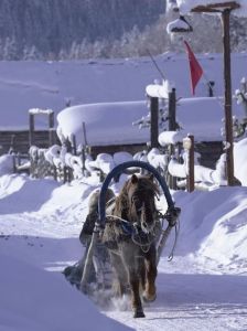 新疆旅游跟团多少钱？新疆旅游跟团多少钱一个月？