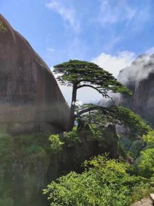 黄山最美的前十景点，黄山最美景色？