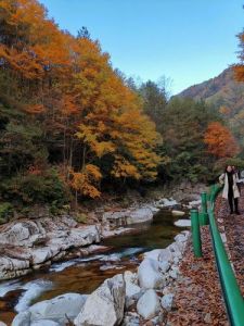 巴中光雾山旅游攻略？巴中光雾山旅游攻略地图？