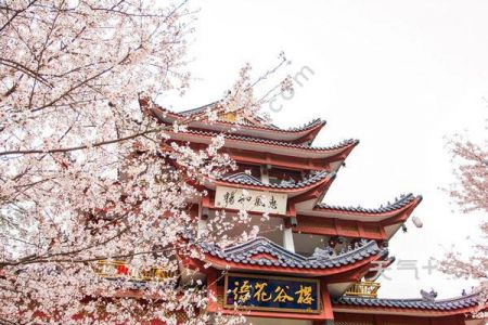 无锡景点推荐一日游？无锡景点推荐一日游路线？