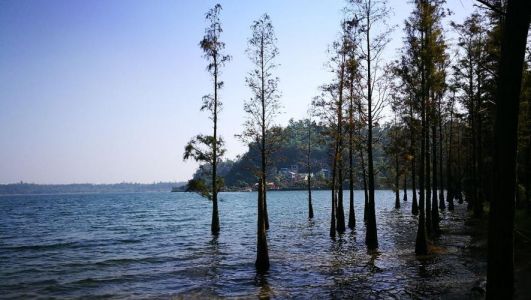 湛江一日游必去景点？湛江一日游必去景点湖光岩？