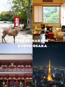 日本旅游攻略自由行，日本旅游攻略自由行攻略大全？