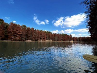 奉贤海湾森林公园？奉贤海湾森林公园简介 门票？