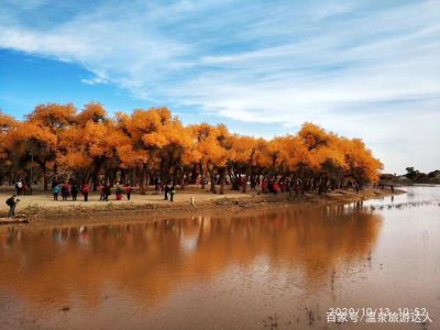 额济纳胡杨林在哪里，额济纳胡杨林主要景点？