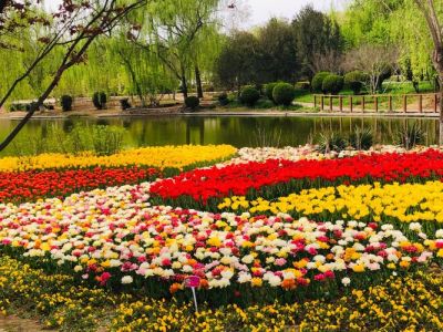 石家庄植物园门票，石家庄植物园门票5元