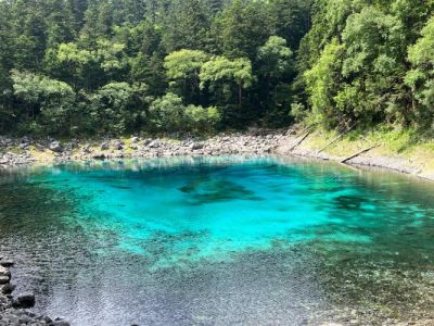 成都到九寨沟纯玩团？成都到九寨沟纯玩团多少钱？