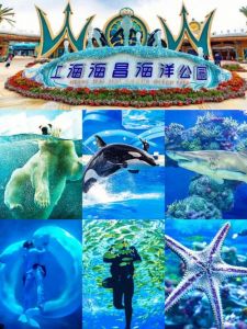 海昌海洋公园攻略，海昌海洋公园攻略2023