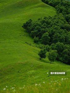 坝上草原几月份去好，坝上草原几月份去比较好？