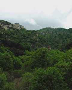 桃源仙谷自然风景区？桃源仙谷自然风景区攻略？