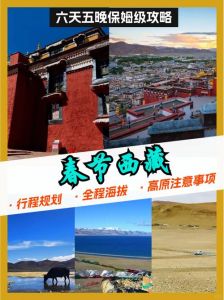 去西藏旅游注意事项，去西藏旅游注意事项有哪些