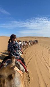 宁夏沙坡头旅游攻略，宁夏沙坡头旅游攻略什么时候去？